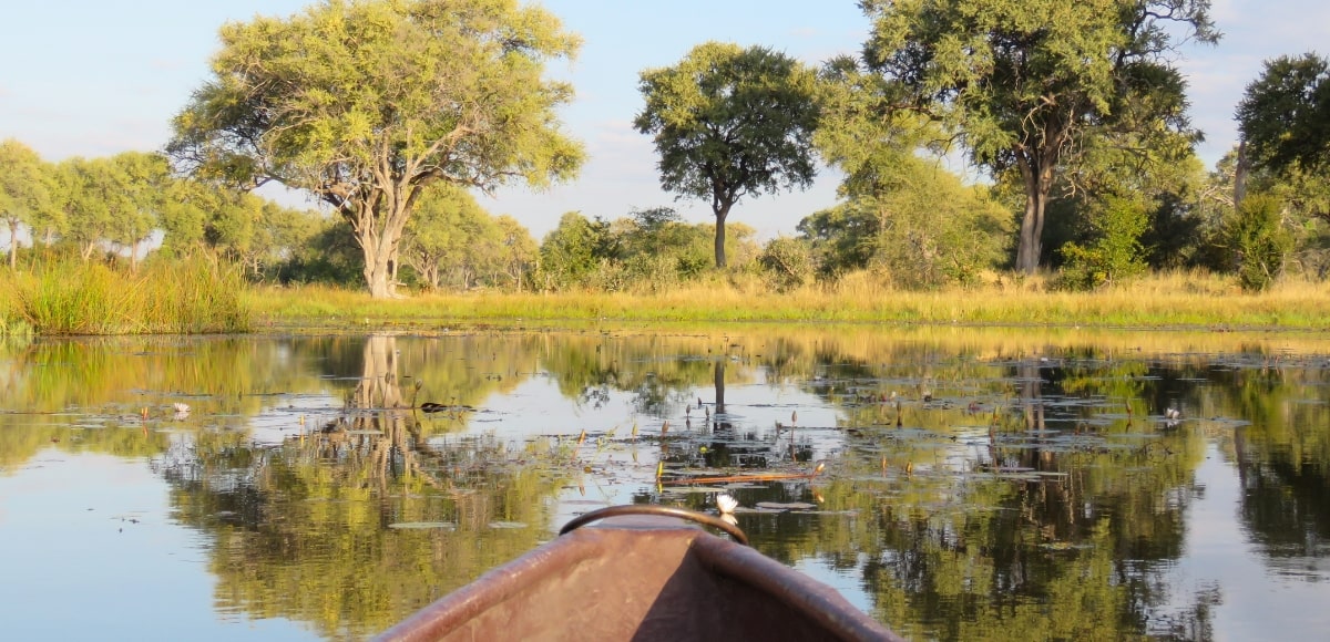 Let yourself be engulfed by Botswana's wilderness Immersive Nature Odyssey